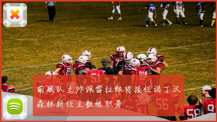 前狼队主帅佩雷拉即将接任诺丁汉森林新任主教练职务