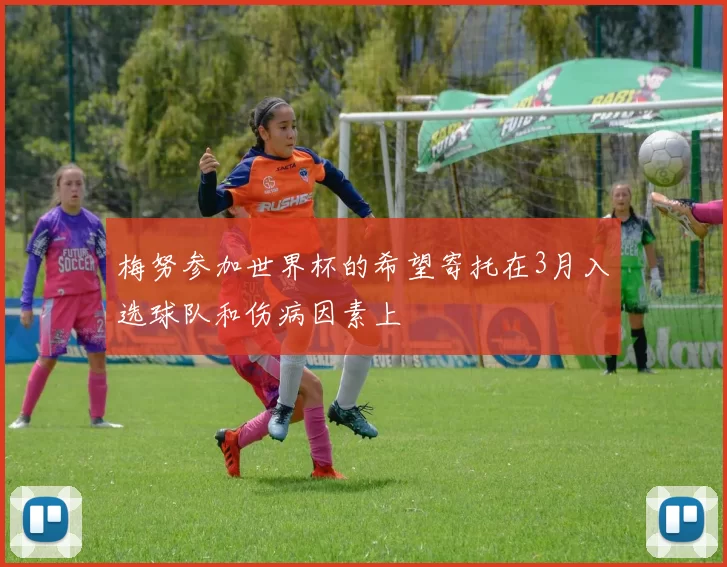 梅努参加世界杯的希望寄托在3月入选球队和伤病因素上